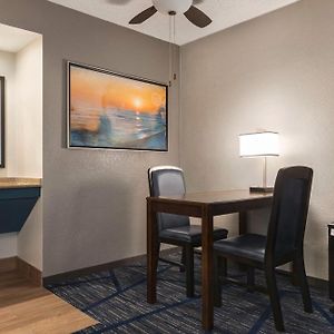 Suite 1 King Bed Accessible Roll Shower